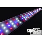 Sinkor LED II WRB Wifi