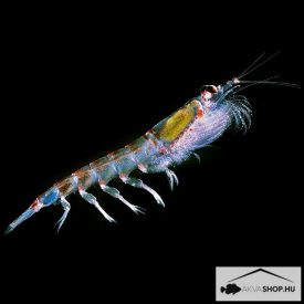 FAGYASZTOTT KRILL RÁK APRÓ 500G