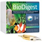 Prodibio Bio Digest /1 ampulla/