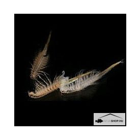 FAGYASZTOTT ARTEMIA 500G