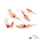 FAGYASZTOTT ARTEMIA 500G